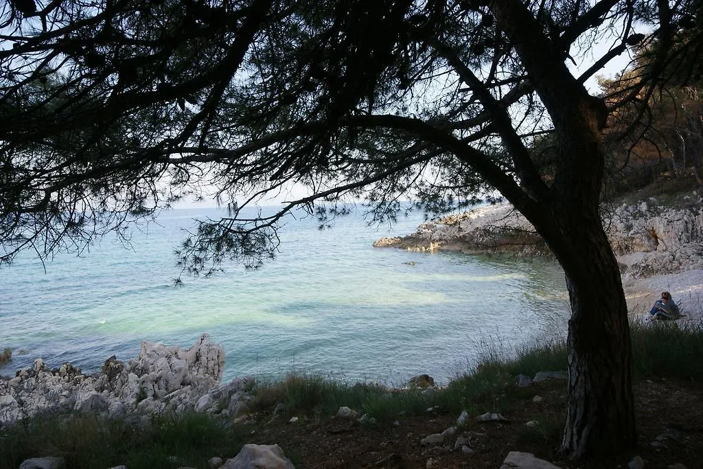 Apartment Vesna Ravni 0*,  Κροατία